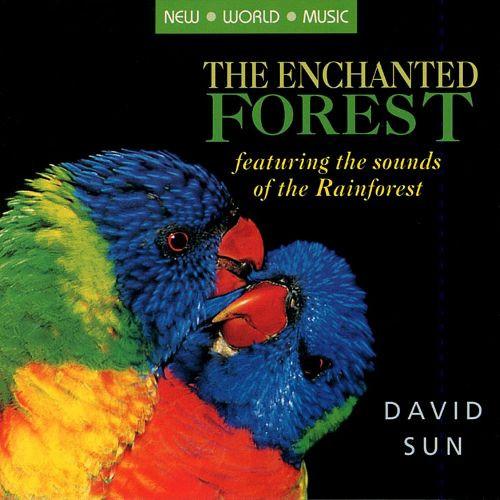David Sun  - The Enchanted Forest