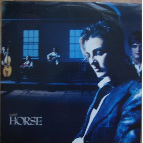 Horse  - Careful