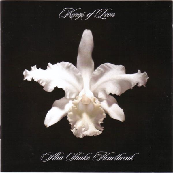 Kings Of Leon - Aha Shake Heartbreak