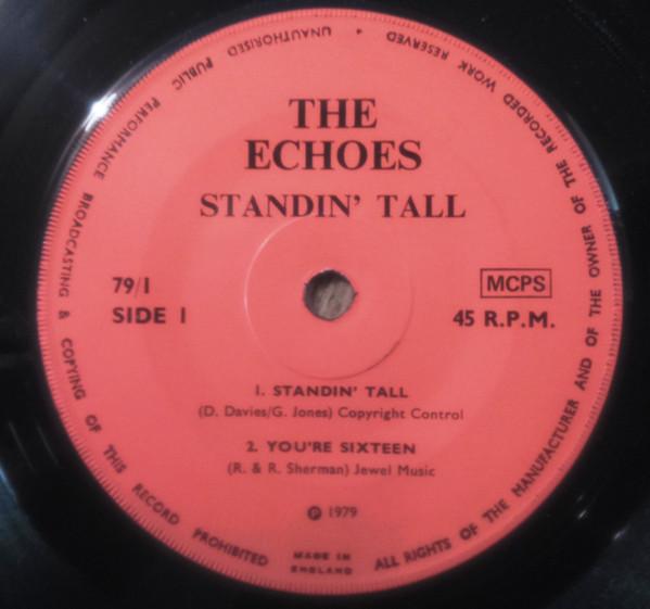 The Echoes  - Standin' Tall