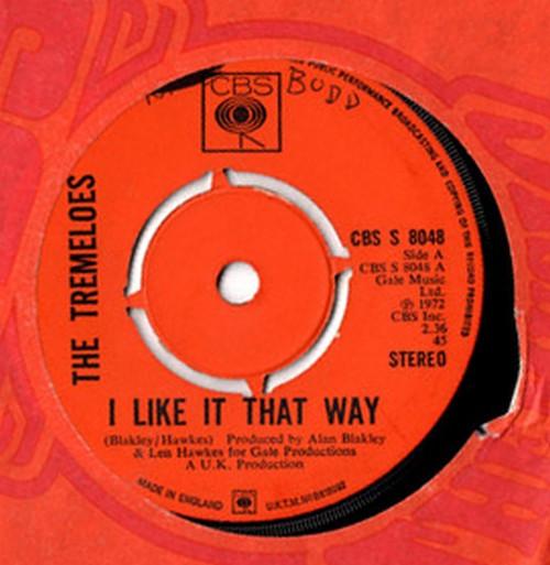 The Tremeloes - I Like It That Way